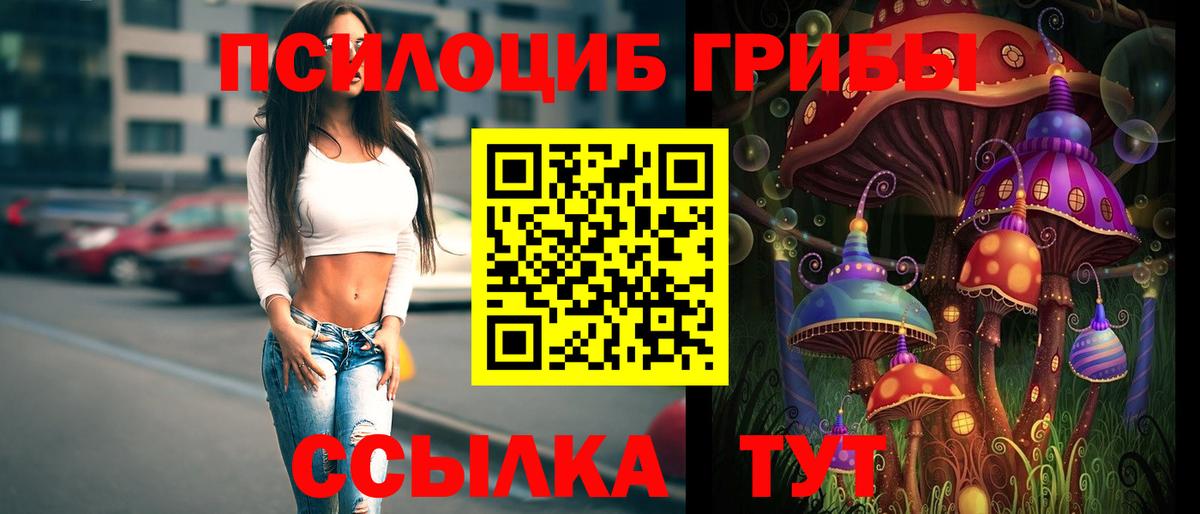 Волгоград  Галлюциногенные грибы ЛСД  Галлюциногенные грибы мицелий  Вход с VPN 